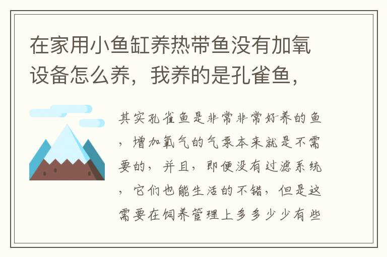 在家用小鱼缸养热带鱼没有加氧设备怎么养，我养的是孔雀鱼，养了快一个月了突然死了？