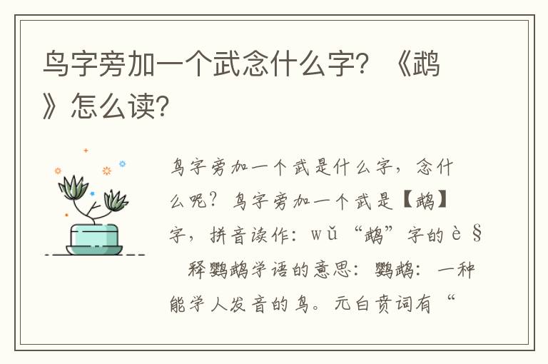 鳥字旁加一個武念什么字？《鵡》怎么讀？